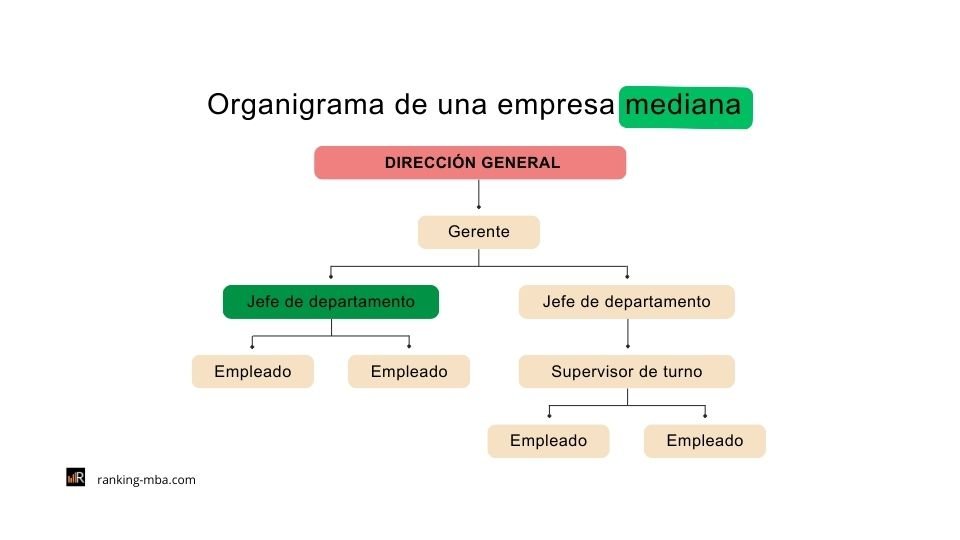 Organigrama empresa mediana - ejemplo