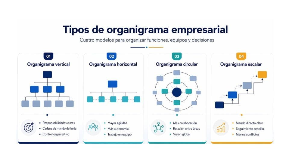 Cuatro tipos de organigrama empresarial: vertical, horizontal, circular y escalar