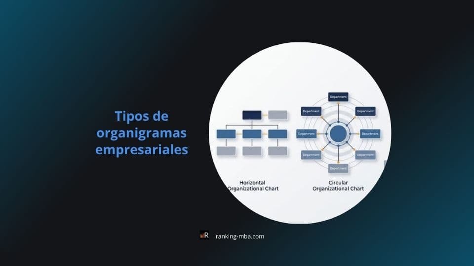 Tipos de organigrama empresarial: vertical, horizontal, circular y escalar